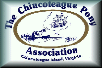 Chinocteague Pony Association