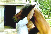 Hugging