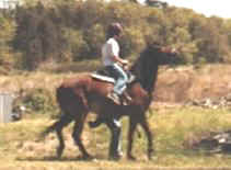 Ridding.jpg (10191 bytes)
